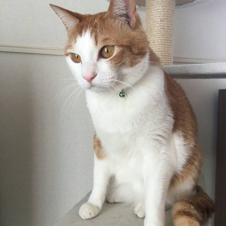 Fbc31d60 a63c 44fe a21e bd518421d937