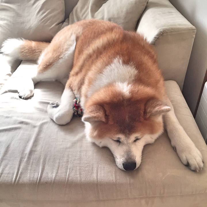 Fbc323f2 87e3 442f ad17 07a11a051d36