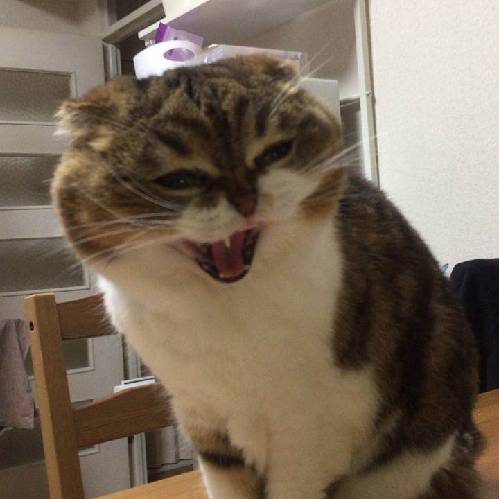 Fbc3a40c ee3e 49bc 8225 a2ca9289bdb8