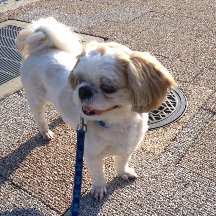 Fbc3cc02 b616 4490 b60c 5ac89c1c866e