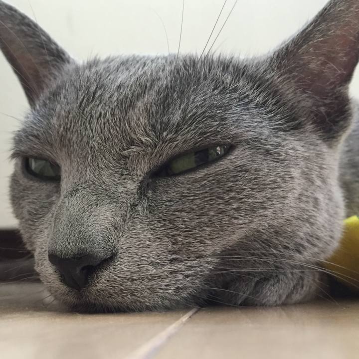 Fbc45265 2c17 43a9 855b c1bb6885d08c