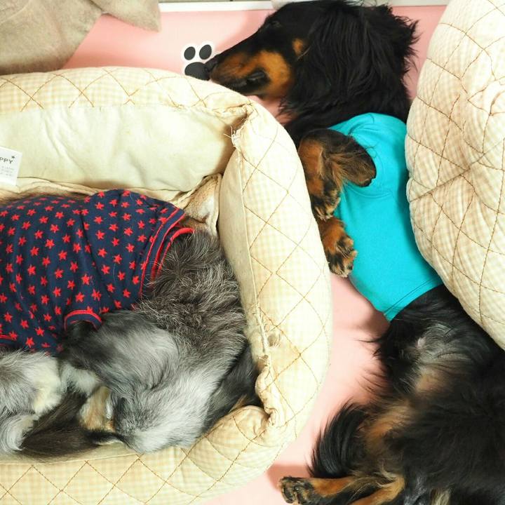 Fbc45916 bd56 4420 8936 ff5baa940285