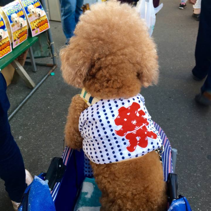 Fbc4bbac 88cd 43db ba26 de0e772c3559