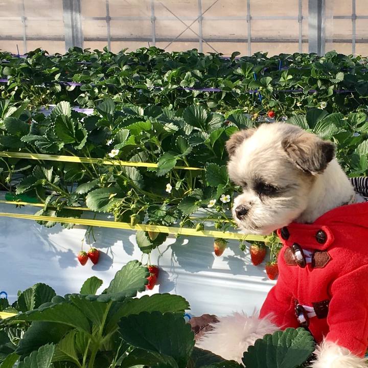 Fbc5ac4b ad24 44e1 a116 dfaa6c204798