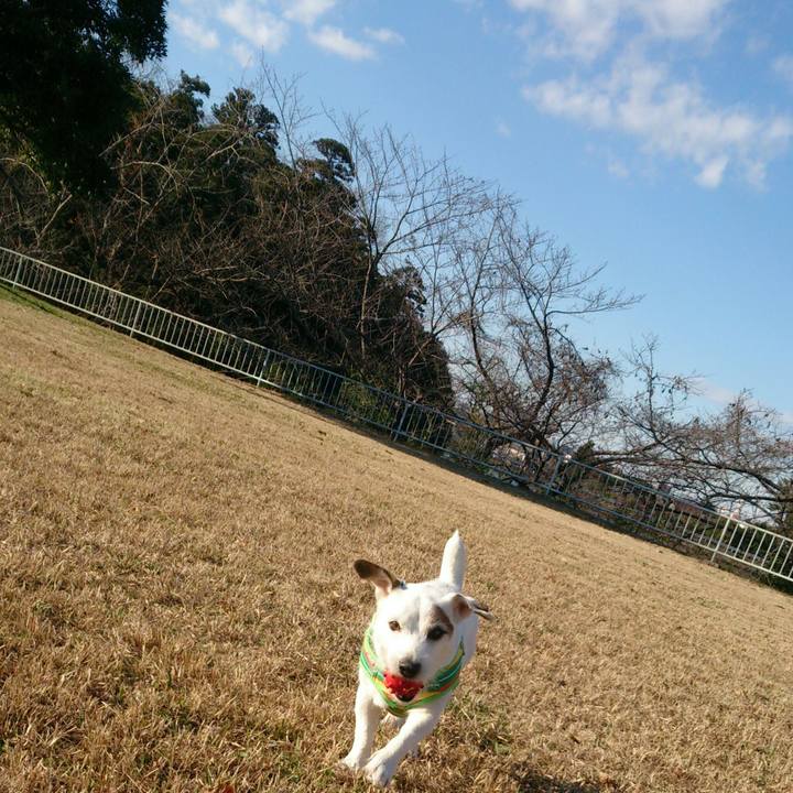 Fbc5c565 46f9 49e9 9e2c 311398025390