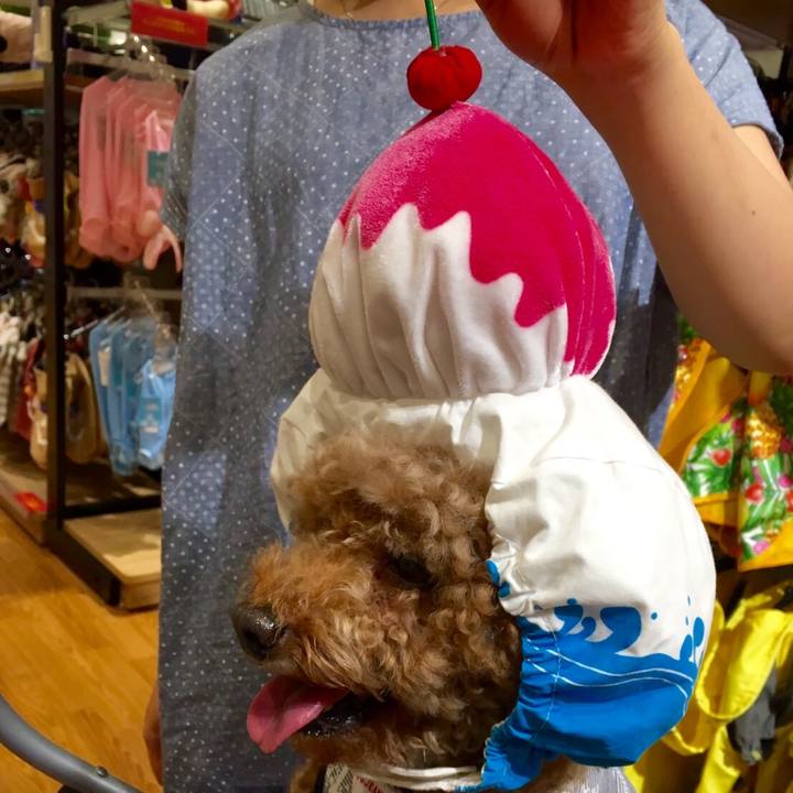 Fbc5ed1d a72c 4263 8fa1 48e6f8376313