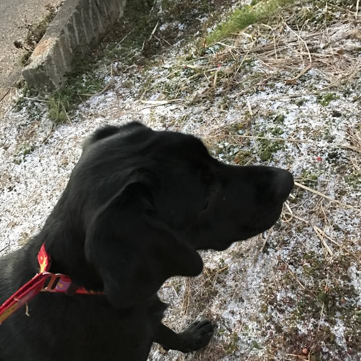 Fbc643da 1a16 44df 8bde 6294eec972d4