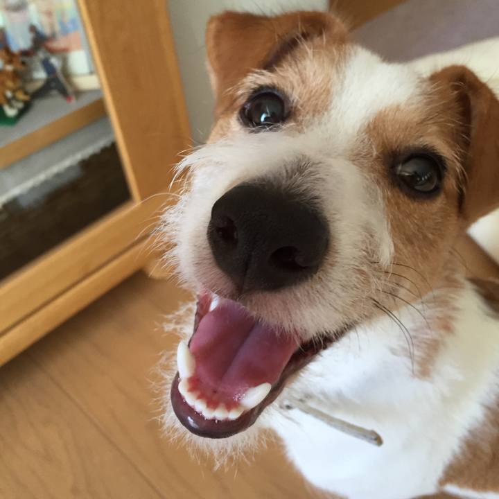 Fbc659ce 4550 44a7 ab2f ae8ae0440912