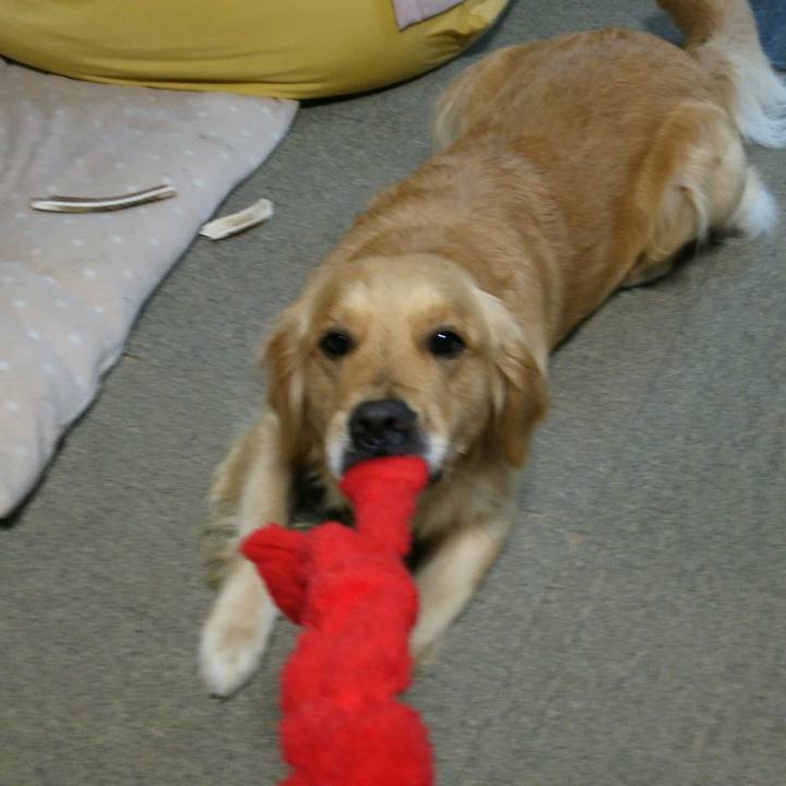 Fbc66368 ced4 409c b35c 7161b4cc10ff