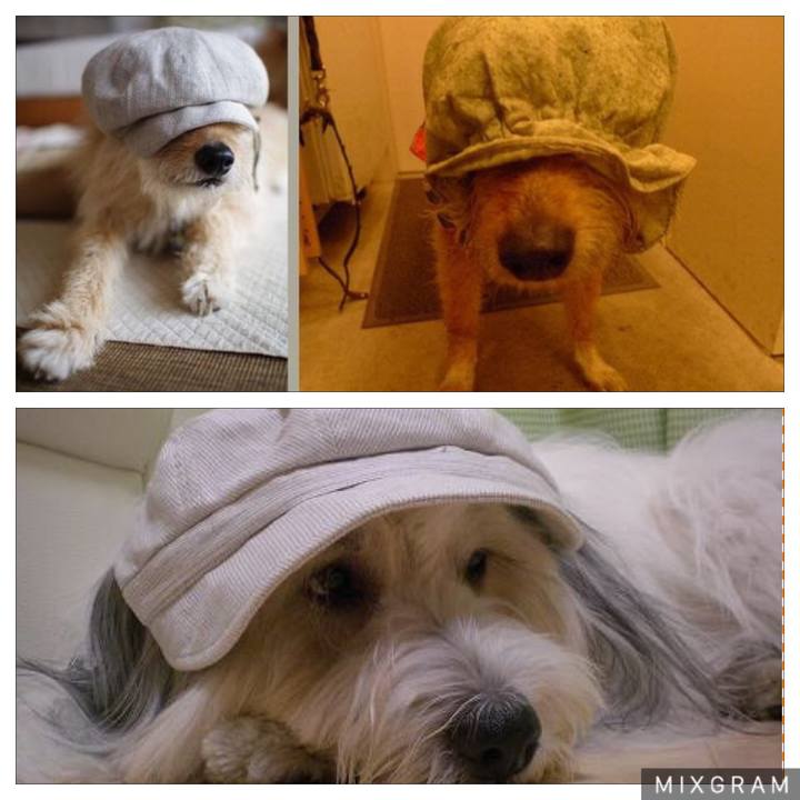 Fbc6750b 83e6 44fb 920e 3d85c0a52309