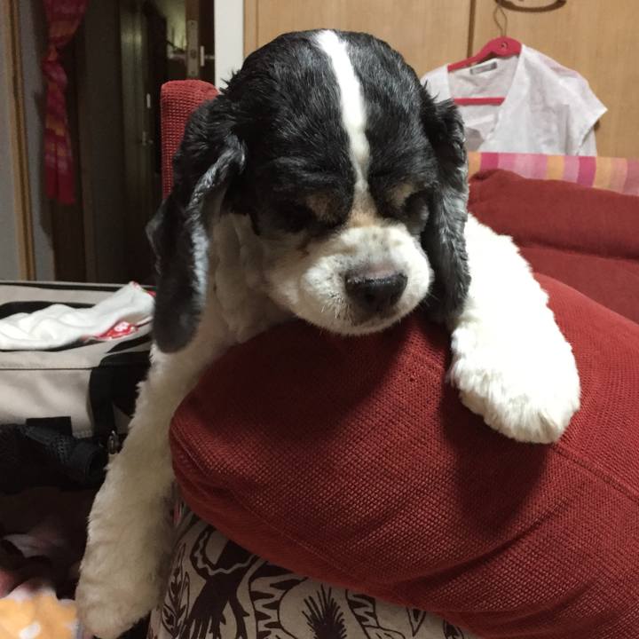 Fbc69877 b724 4bb9 be80 5a2e2a957bce