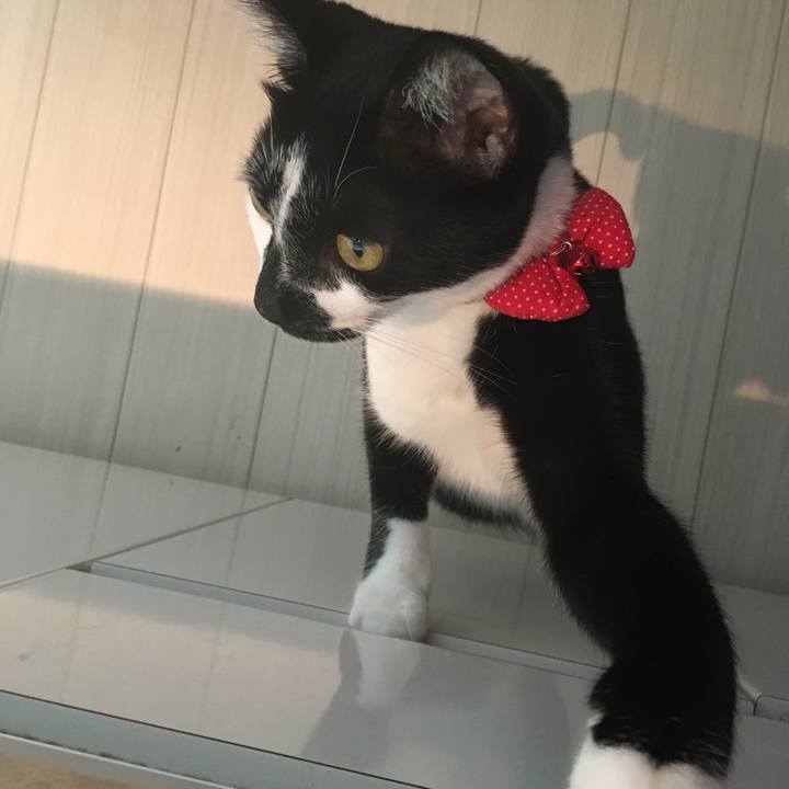 Fbc69f60 a434 4f50 b493 b7453905c88f