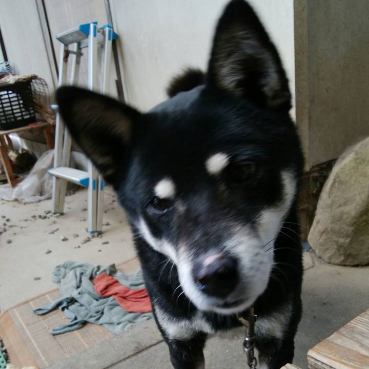 Fbc71ac2 2a15 4729 a319 eb1b05a24166