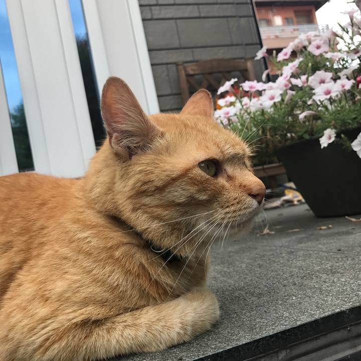 Fbc749f6 63de 4ab8 b317 ecddc17afe74