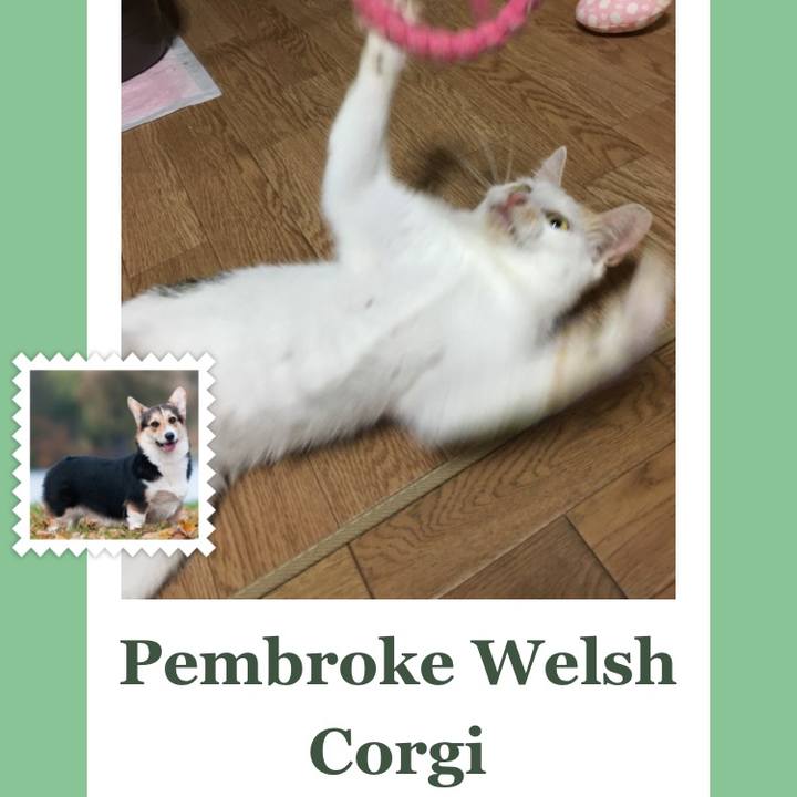 Fbc7ead6 a74d 45dc 8377 fcf53d37fa14