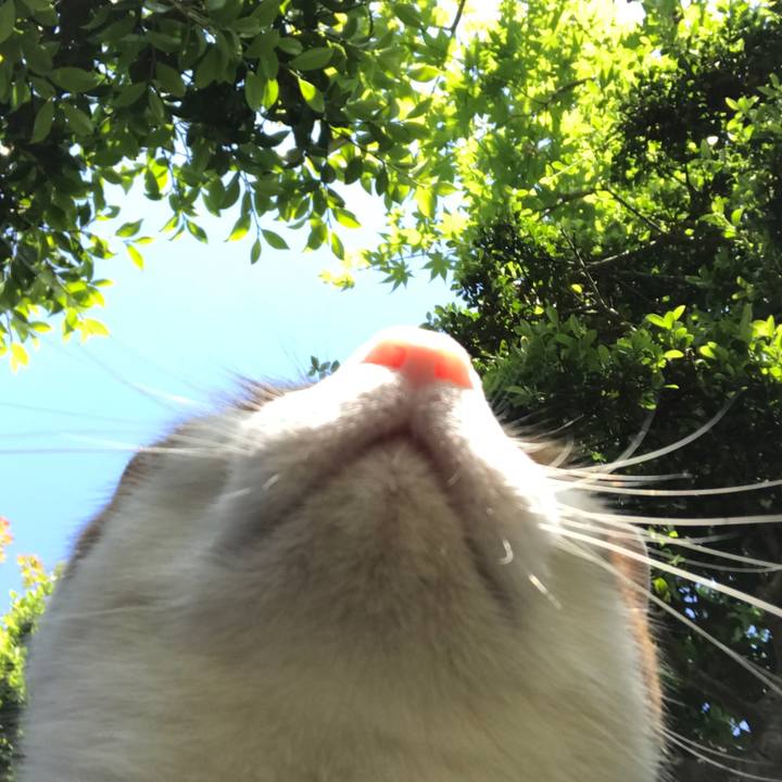 Fbc87de9 deb7 4817 9a80 750c40c07bd1