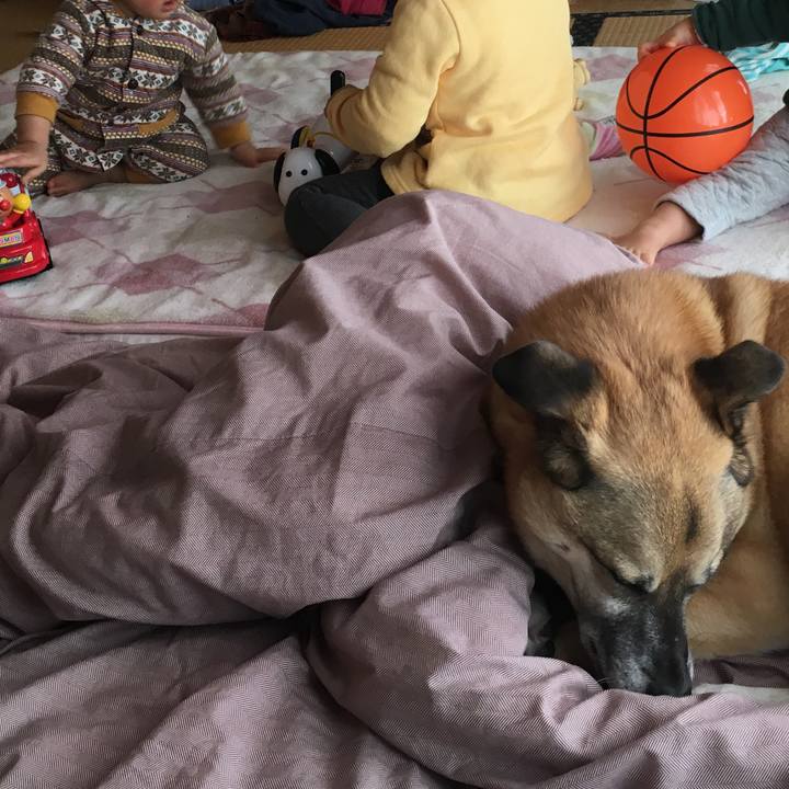 Fbc98883 0686 4ed3 8427 f6365e8582ab