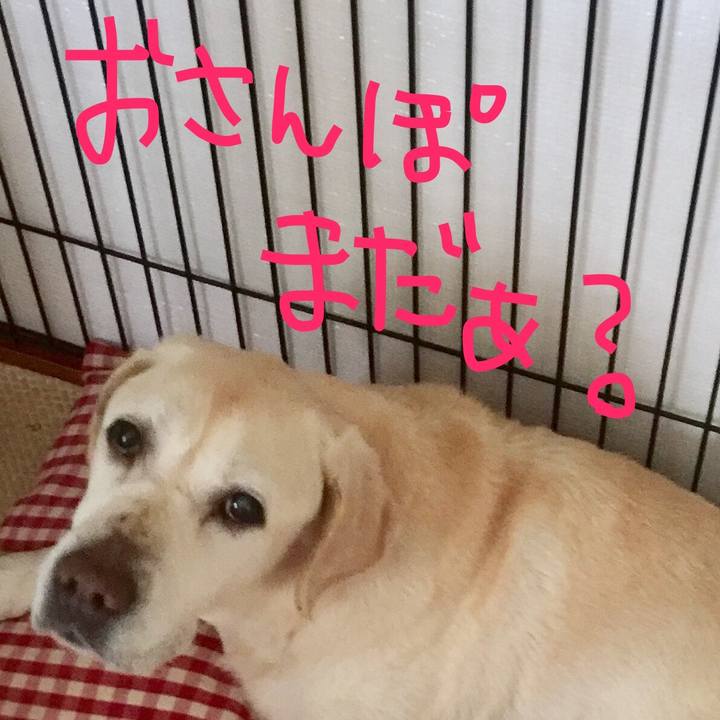 Fbca9219 e6a3 4d56 900e d8ffb6d09f18