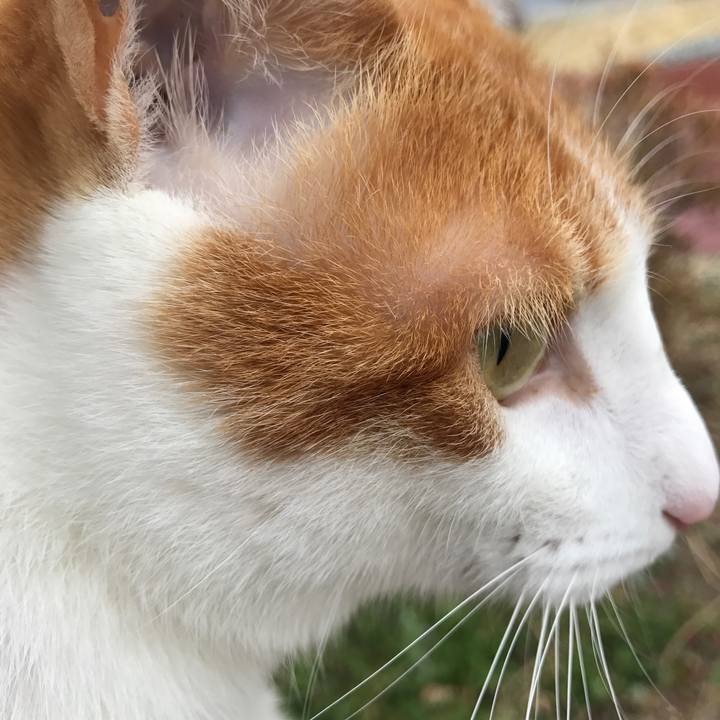 Fbcab4a0 eb92 4d19 a30b d6d254e8f9b6