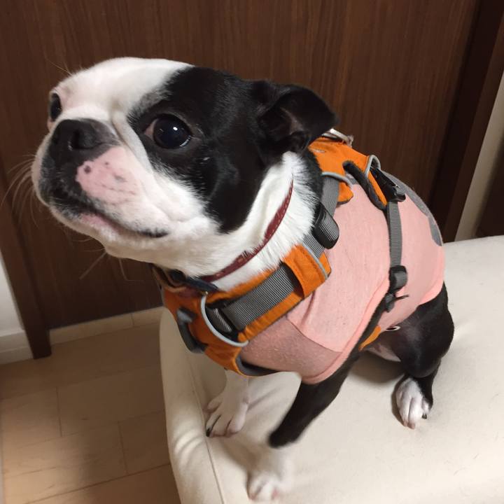 Fbcb35e9 fd88 4523 8cdd 74f022c3ae12