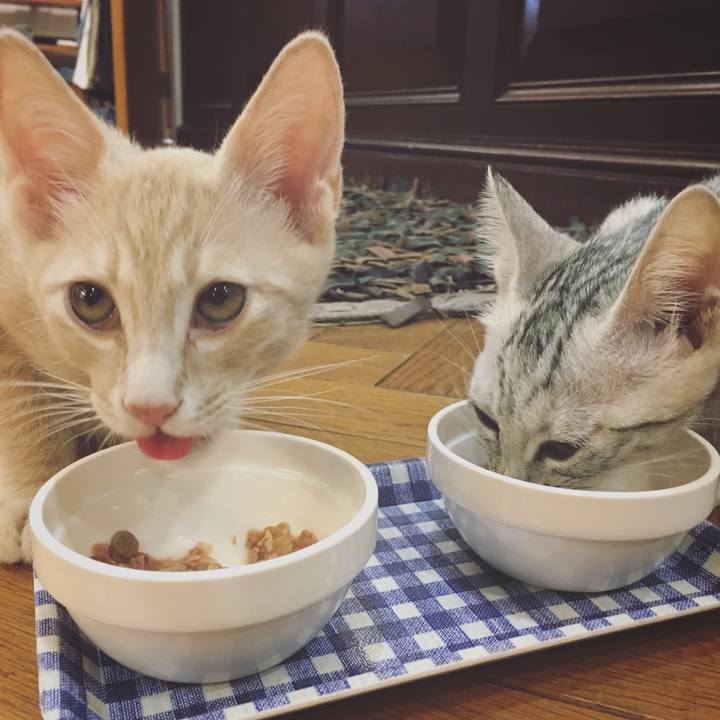 Fbcc4b67 7b65 4cb8 bc3a b60f0accdb0b