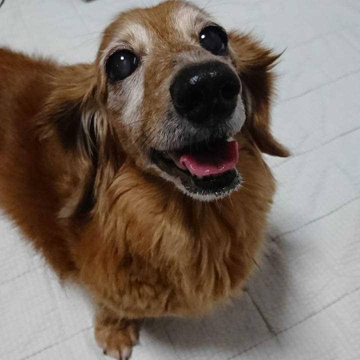 Fbcc8332 b774 44d3 b4a9 139fe9fad286