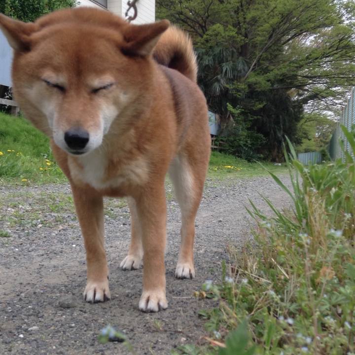 Fbcc99b6 64c9 47d7 8f64 3bc54832c4bf