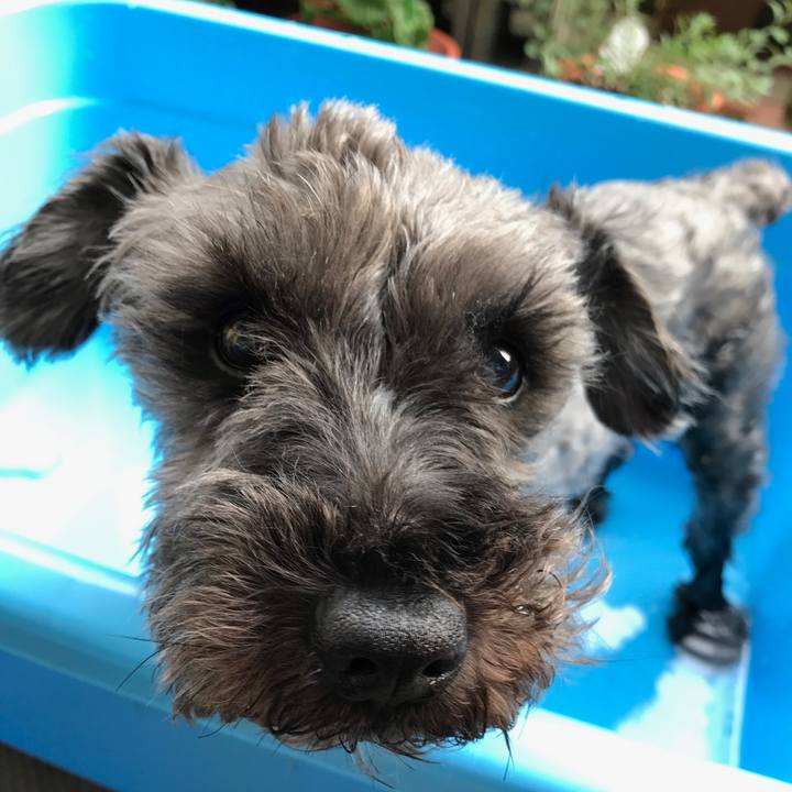 Fbcca70f 4f74 4f76 ae2e 02f3d8ffa1d4