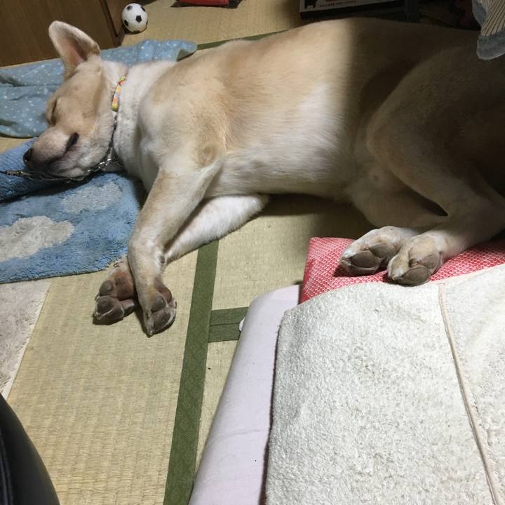 Fbccc6ac 1253 4c59 bf9b 3fb52f394d7e