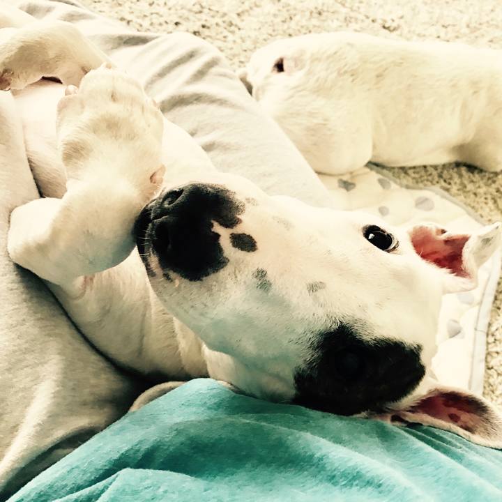 Fbce180c 6838 482c a2ce ff9084650539