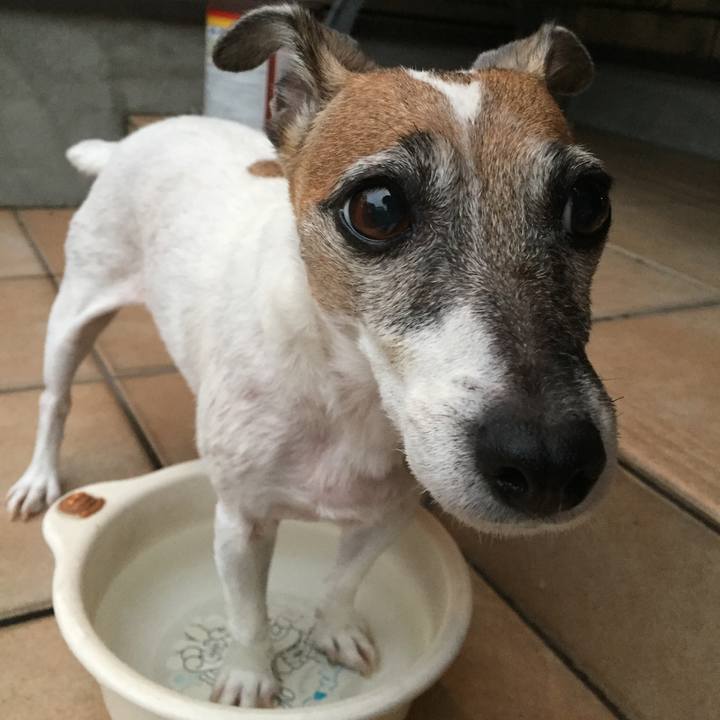 Fbce8934 50ec 4f50 80ad b74ccd1f361b