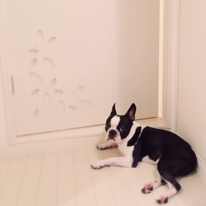 Fbcea7de 8ff9 42ab b237 0f842dd91d4b