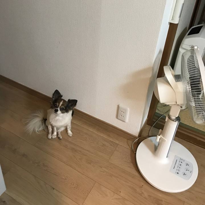 Fbced6b1 2f89 4ffe 82d9 af75639970c8