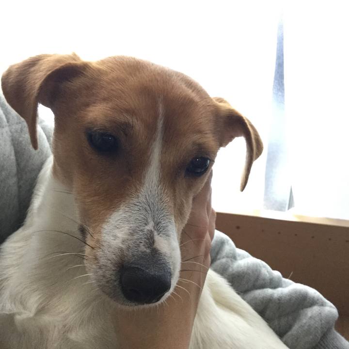 Fbcee466 2c78 4d8c a5c8 a0bba7c1050f