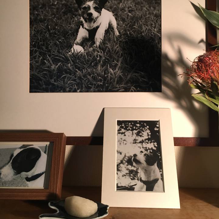 Fbcfa3da bbdb 413d b6c6 c81560d65728