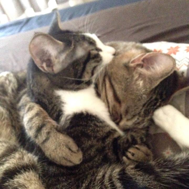 Fbcff12a 2606 4d20 abcc ff56c38e6aff