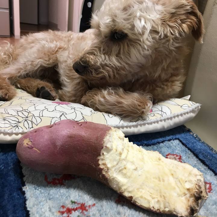 Fbd023cb e892 4bd6 be04 8d0164ac476d