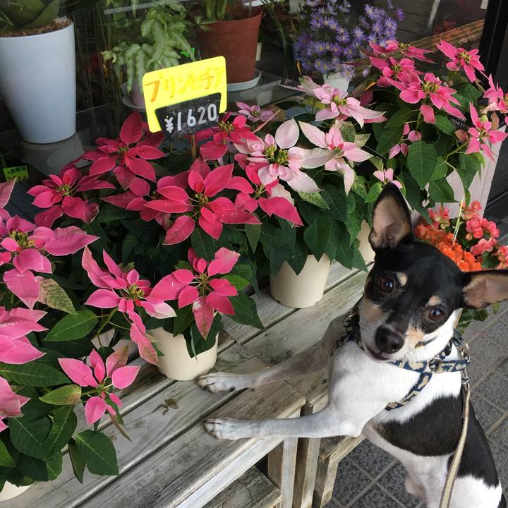 Fbd13356 8bc7 4a4e b3fc 1e79313e22c1