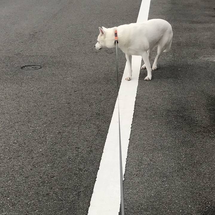 Fbd1b32b 1945 49d5 bda3 35b7c00fdcd9