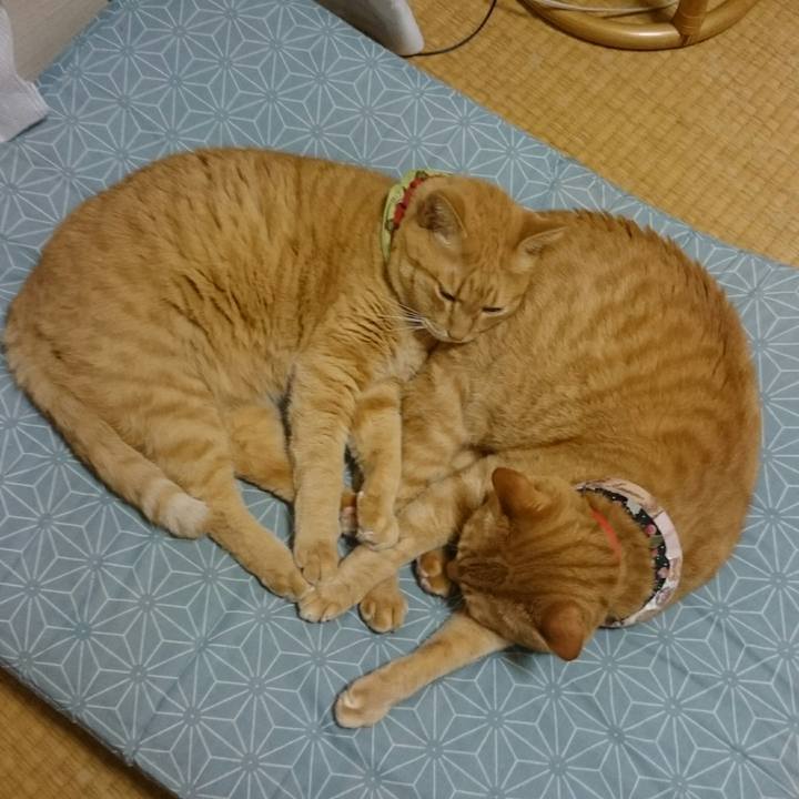 Fbd1ec83 2f34 46f7 ad72 75b22666602f