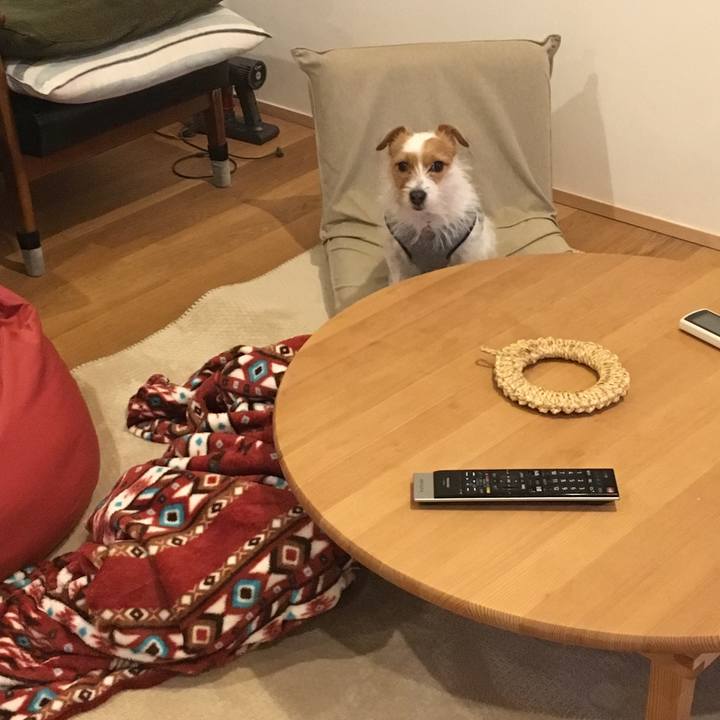 Fbd1ed72 ce41 4ac9 8fa9 f7881fd50ca9