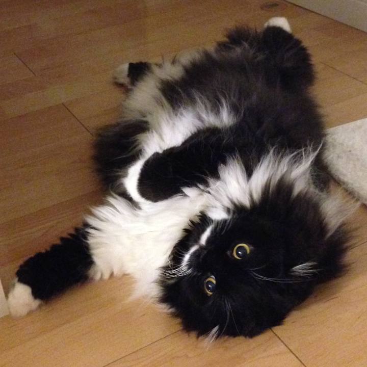 Fbd2803c 3ee8 4bb4 ba30 ba298d840bbd