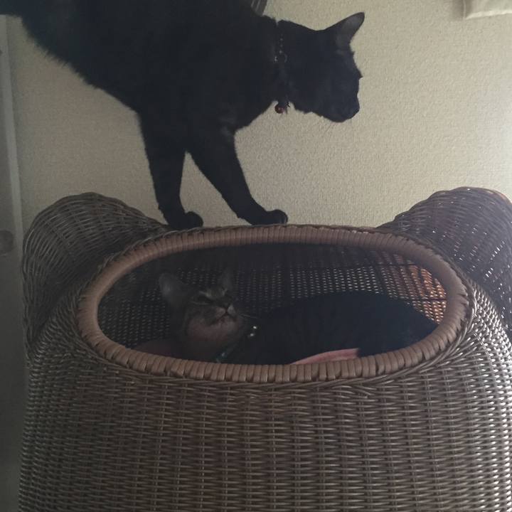 Fbd3217d a3bd 468d 9b74 3c0f76b33bfa