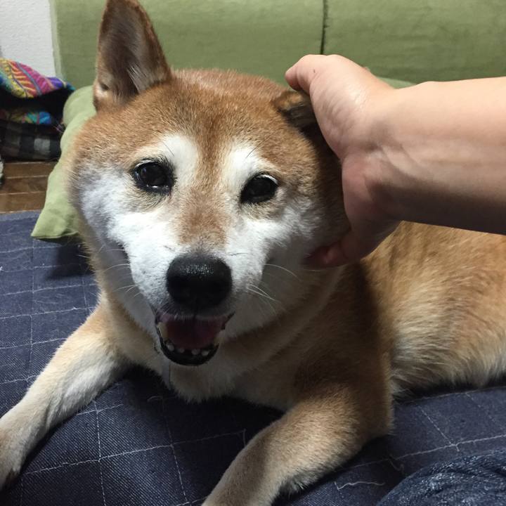 Fbd36b38 9a1c 4def a3de fec9972eaacd