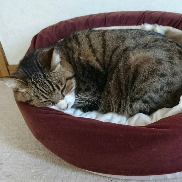 Fbd3cdae 246c 4d88 a6d2 229cbd8453b5