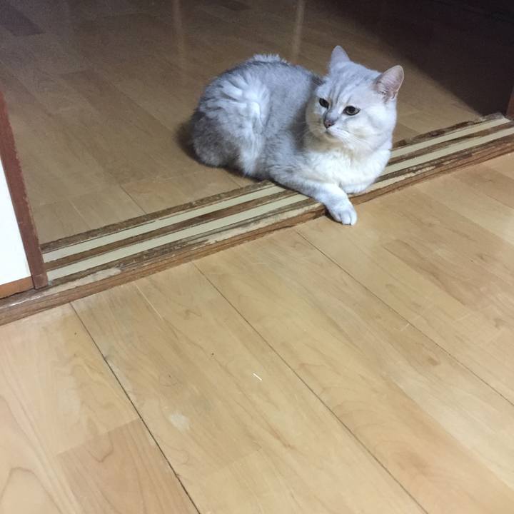 Fbd4339c 4513 4a12 b735 eef12999732a