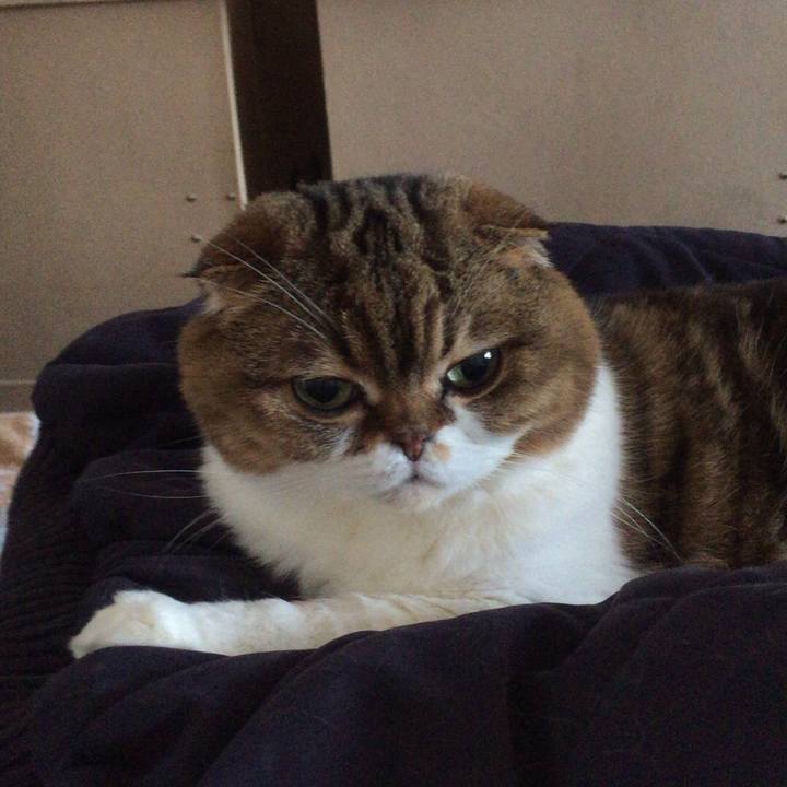 Fbd43978 39df 48f9 b2bd bf475a93112a