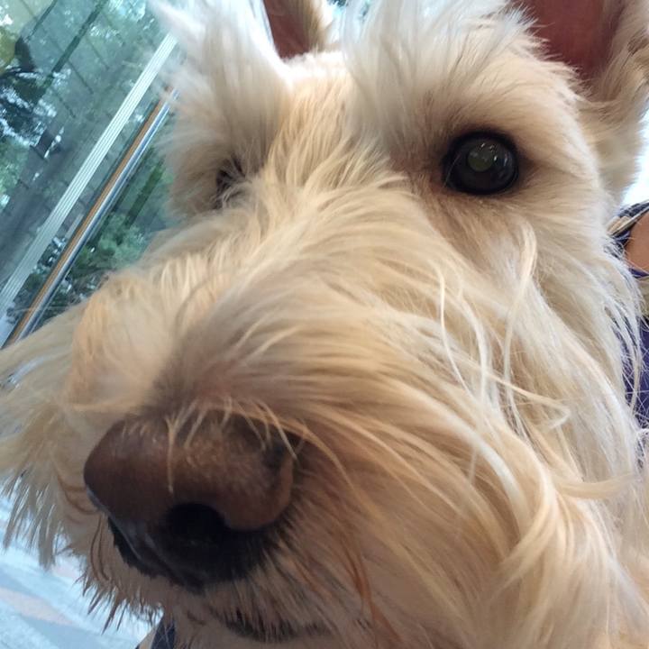 Fbd4c83a 5840 44cc 950a fc940df66cbe