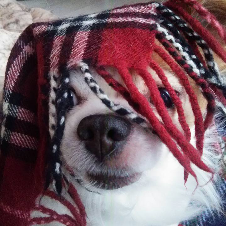 Fbd5891e 3773 454b a36c ba11479240f0