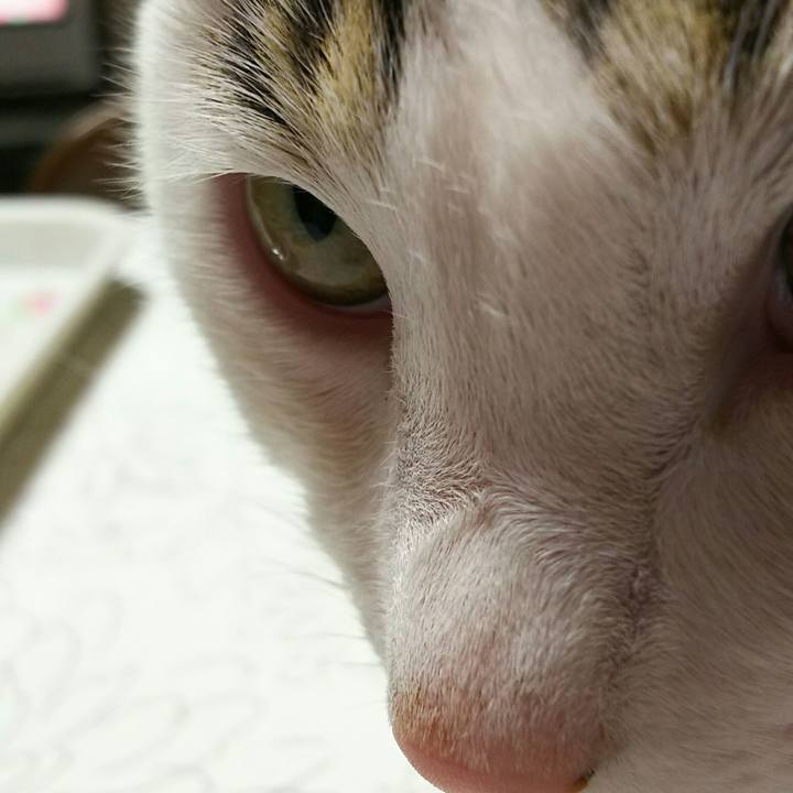 Fbd5ad3c 2777 45c0 a38f 7691460363c0